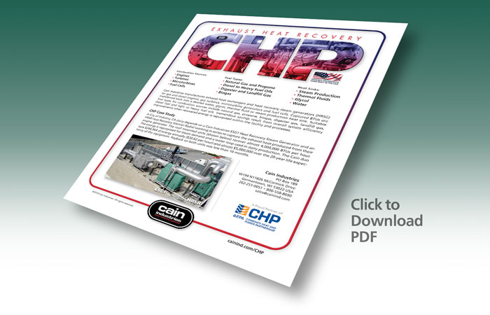 Cain Industries CHP Summary